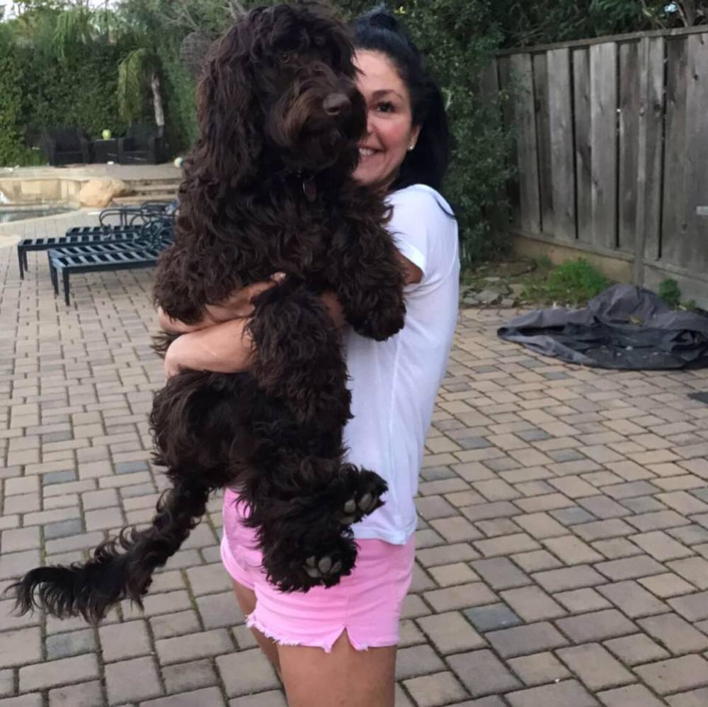 Meet your Posher, Paisley